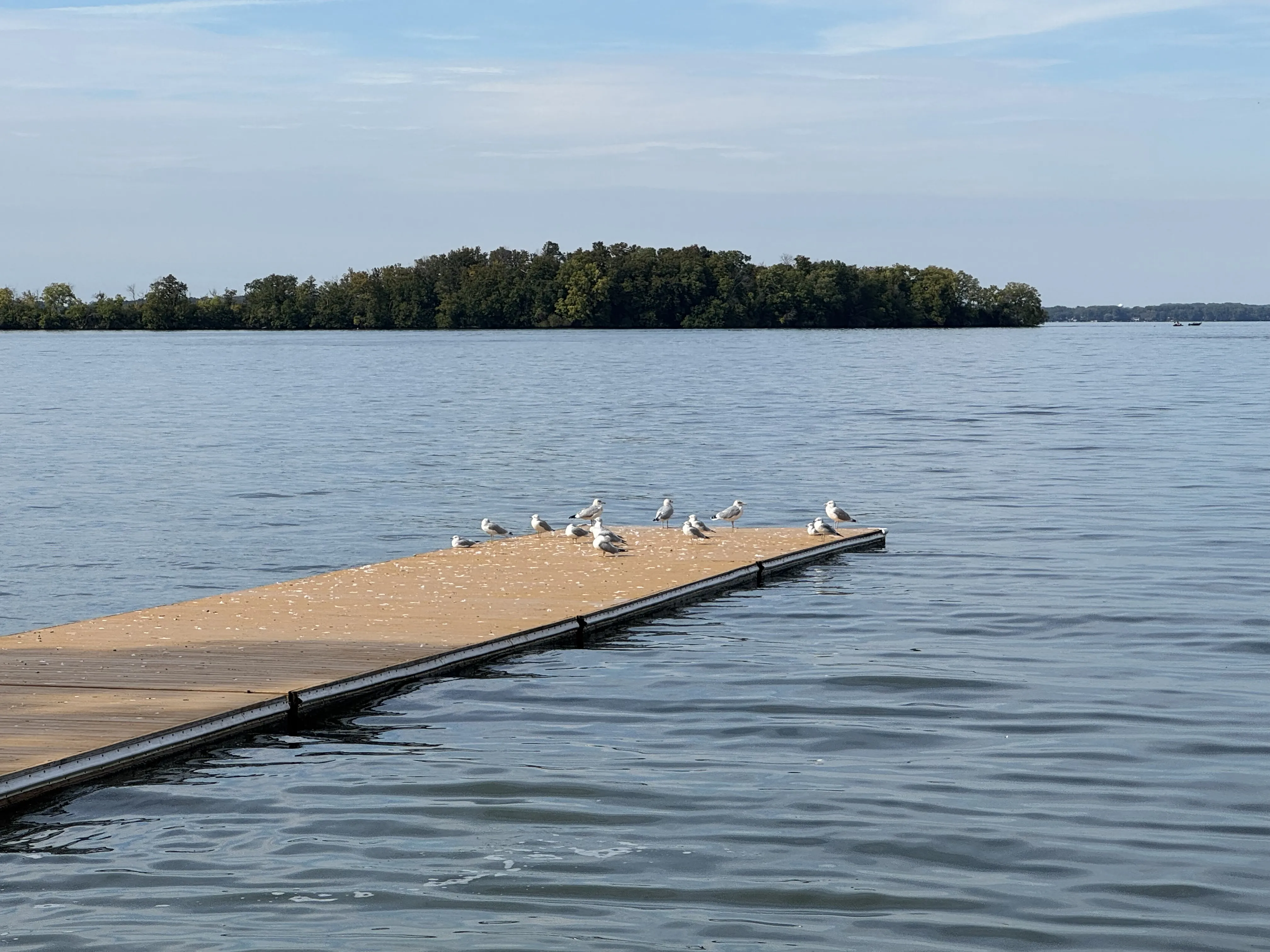 Lake 光景